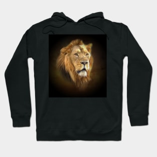 Lion portrait Hoodie